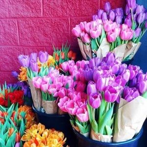 Meet your Posher, Jennifer